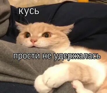 Кусь это по любви