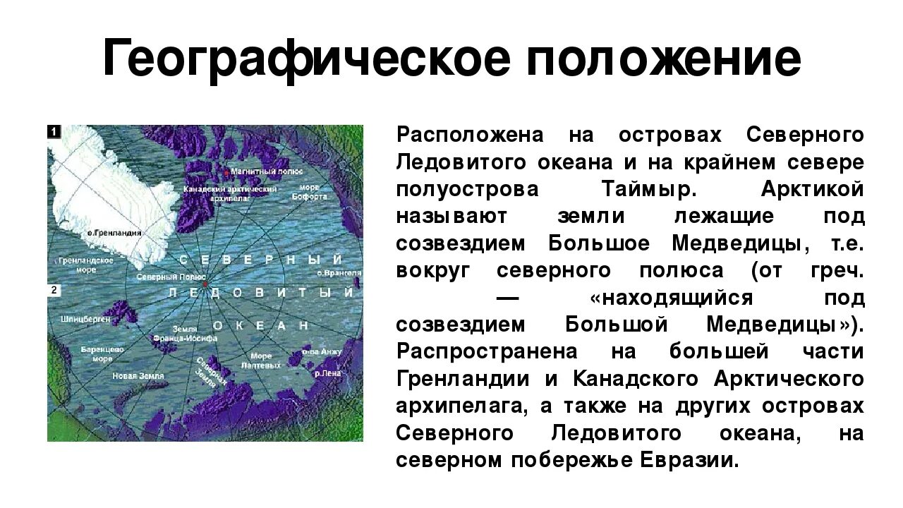 Особенности океанов россии. Географическое положение Северного Ледовитого океана. Положение Северного Ледовитого океана. Географическое положение океана Северный Ледовитый в России. Географическое положение Северо Ледовитого океана.