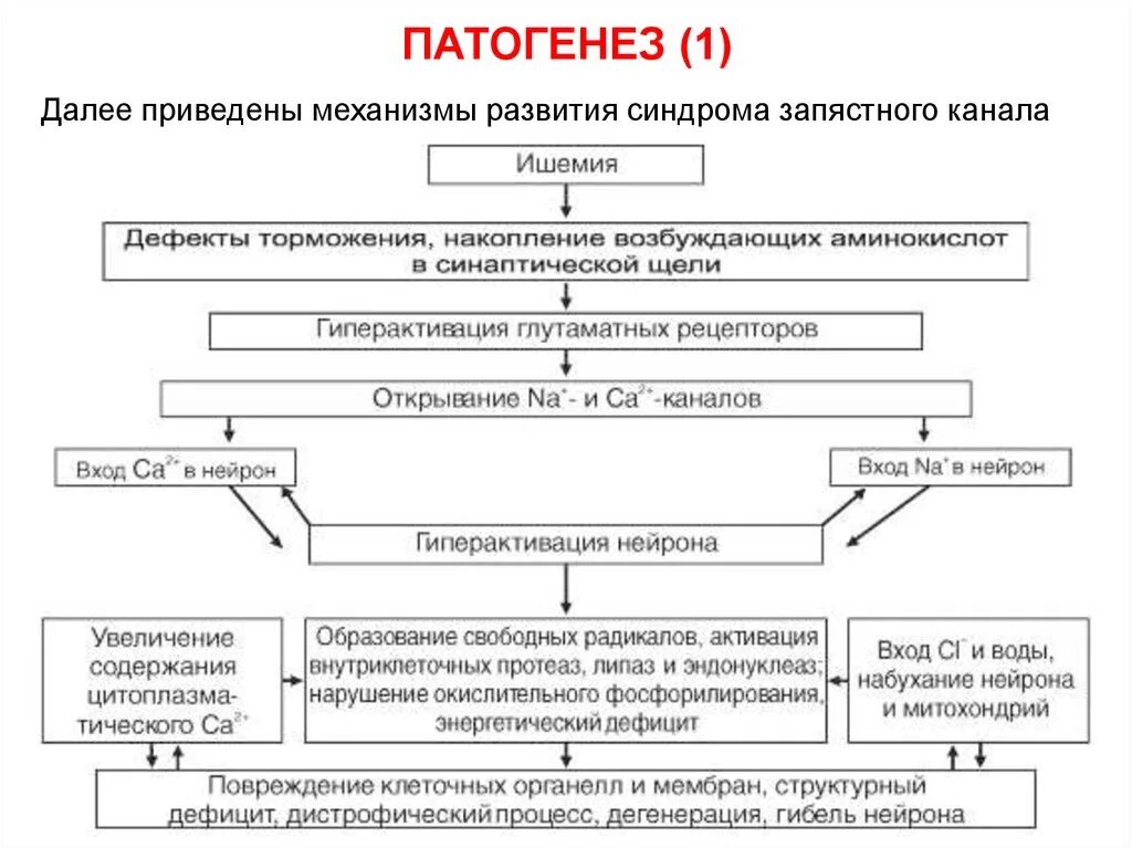 Механизмы развития ишемии. Схема патогенеза ишемии. Схема патогенеза повреждения клетки. Патогенез ишемического инсульта схема. Патогенез ишемической болезни схема.