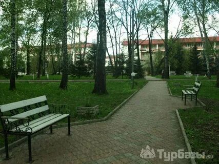 Орловская дубрава