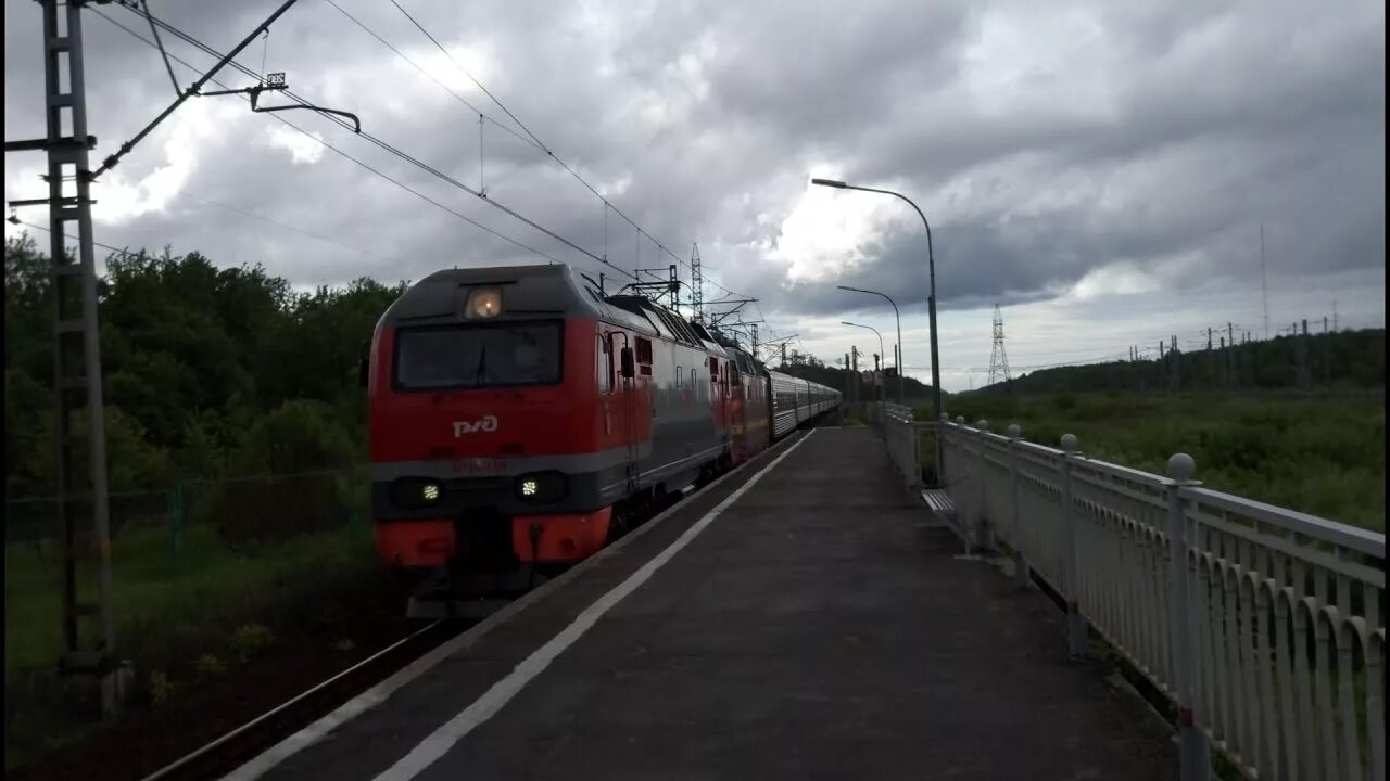 Поезд 45 санкт-петербург иваново. Железногорск санкт петербург поезд. Гранд сервис экспресс поезд москва санкт-петербург. Железногорск санкт петербург поезд. Железногорск санкт петербург поезд.