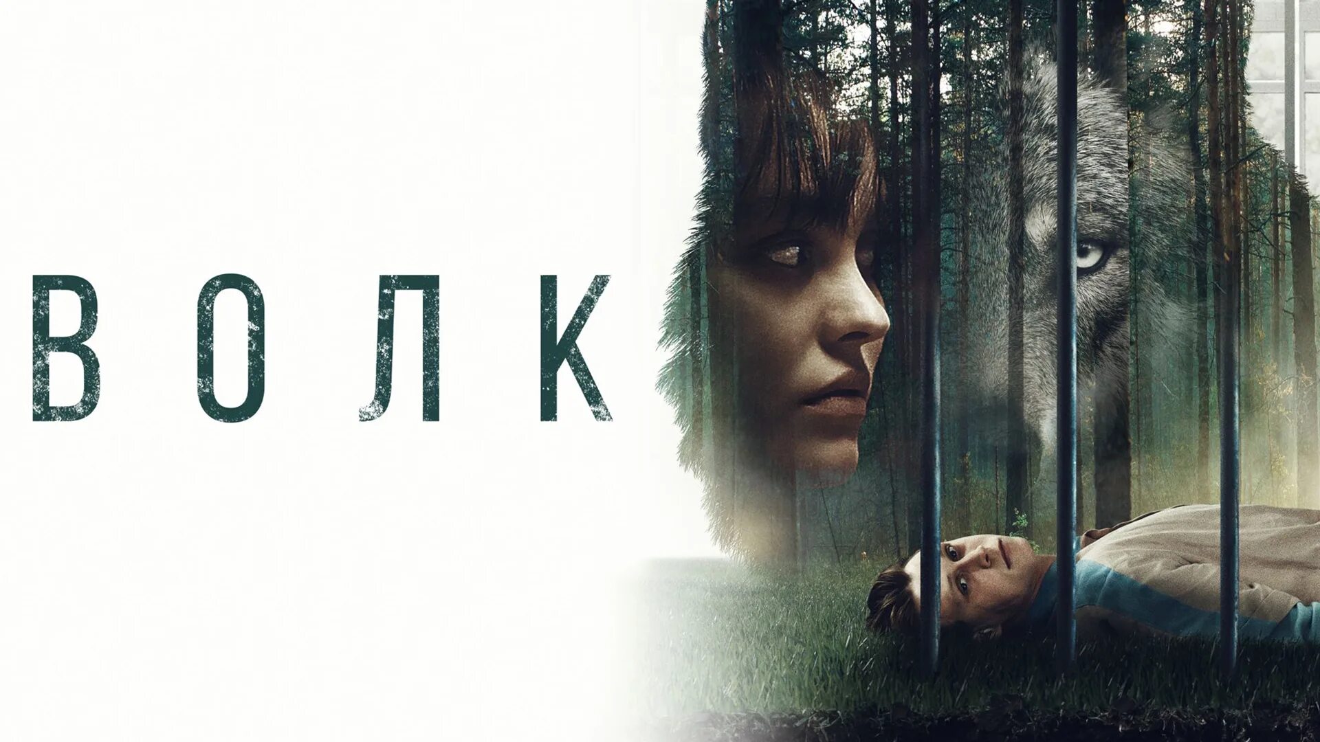 мой волк фильм. мой волк фильм 2021. волк 2021 отзывы. мой волк фильм 2021. волк и лев фильм 2021.