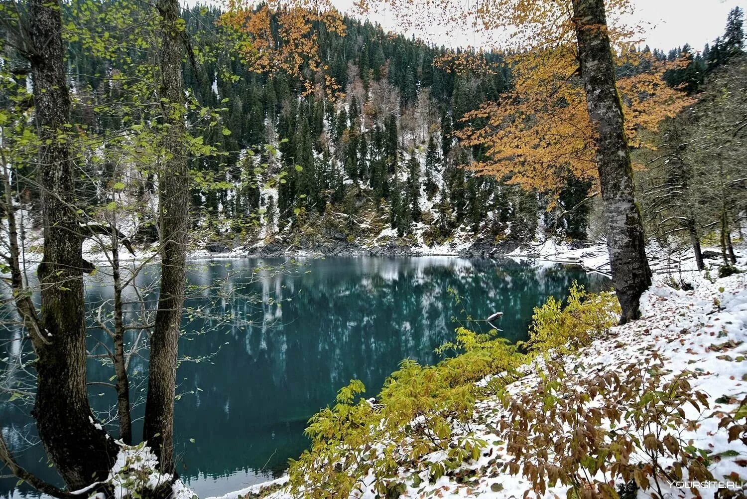 Времена года абхазия. Малая Рица Абхазия. Озеро малая Рица Абхазия. Озеро Рица Абхазия зимой. Озеро малая Рица экскурсии.
