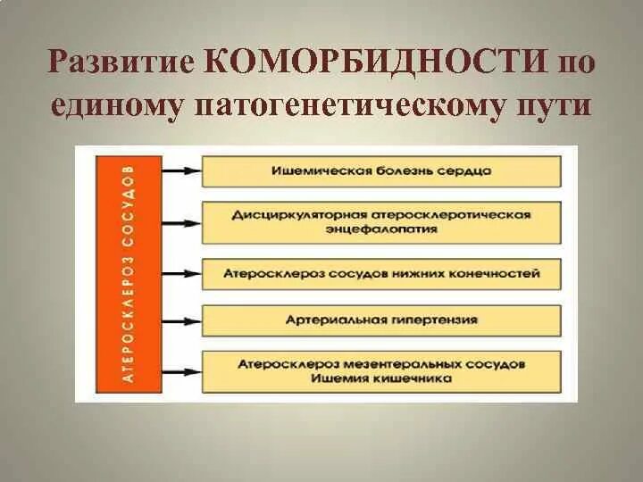 Коморбидность. Понятие, причины, классификация. Мультиморбидность это в медицине. Полиморбидность в гериатрии. Коморбидная патология это. Полиморбидность это