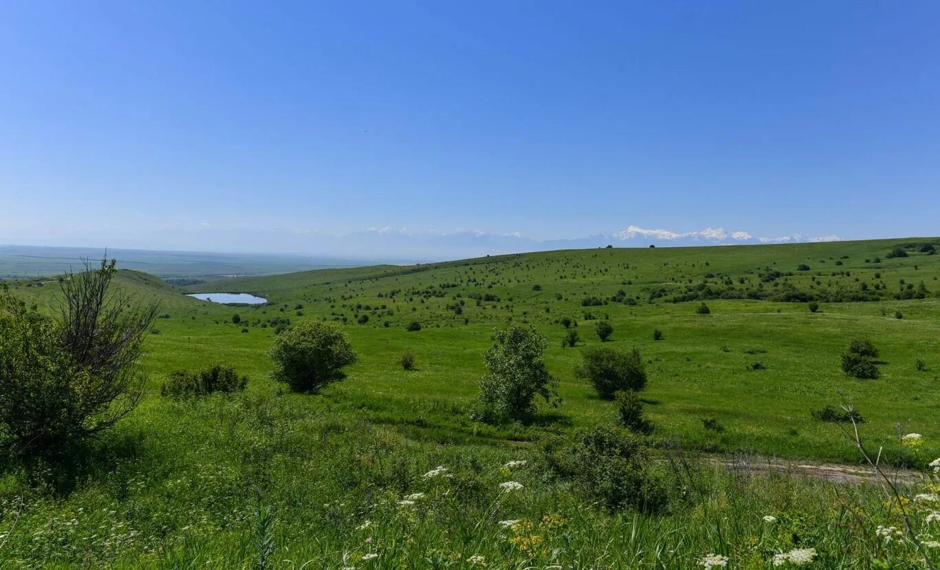 Природа моздока северная осетия. Степь моздокская. Пейзажи ставропольского края. Широкая степь раздольная. Степь моздокская.