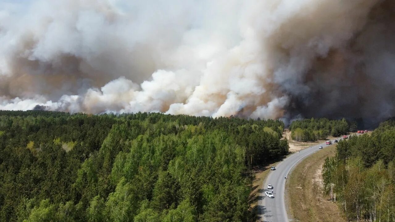 Пожар в озерах. В Тюмени горит лес. Горят леса в Тюмени. Лесные пожары в Тюменской области. Лесной пожар возле озера.