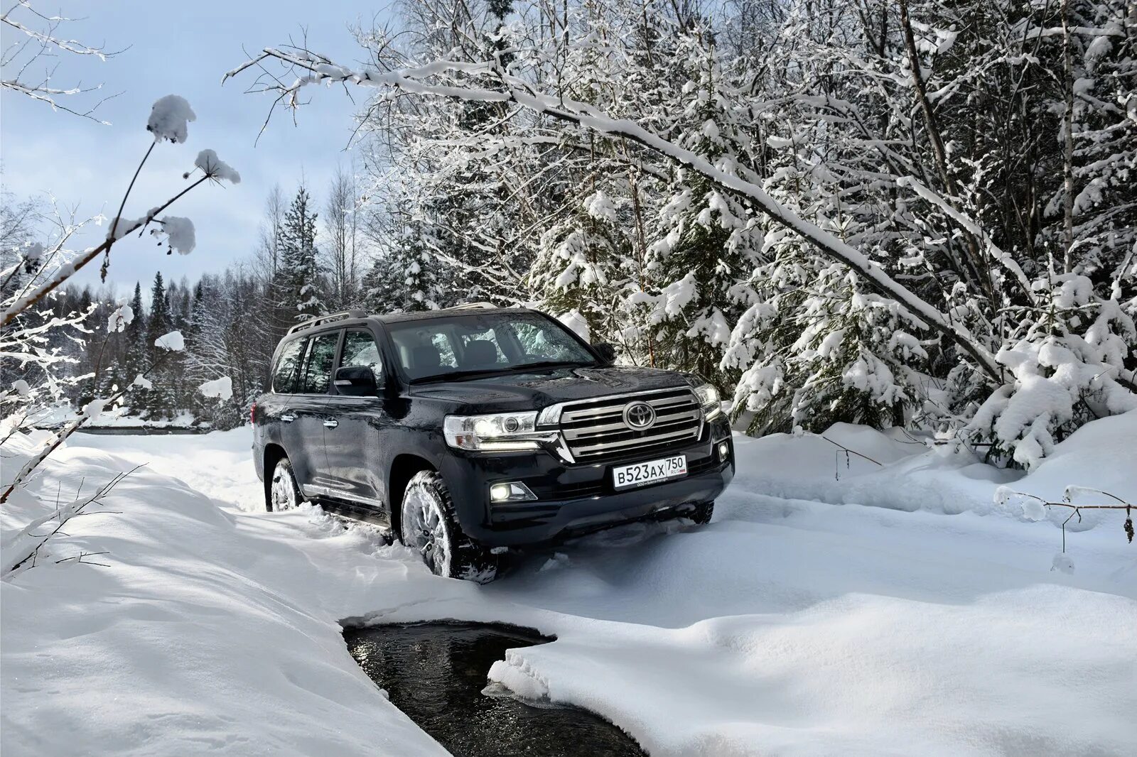 Тест драйв крузер 200. Тойота ленд крузер 200 в лесу. toyota land cruiser 200 зима. тойота ленд крузер 200 тест драйв. тойота ленд крузер 200 в снегу.
