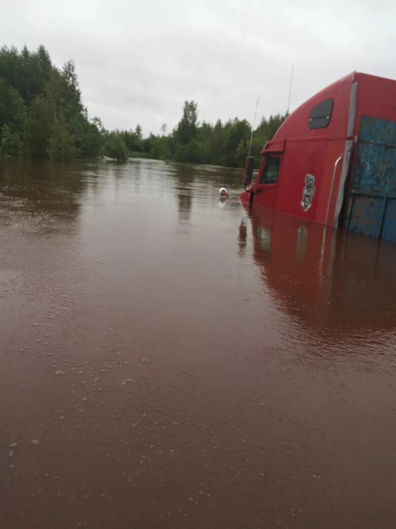 Погода неболчи рп 5. Любытино наводнение 2017. Любытино потоп. Потоп в Новгородской области. Любытино Погорелка потоп.