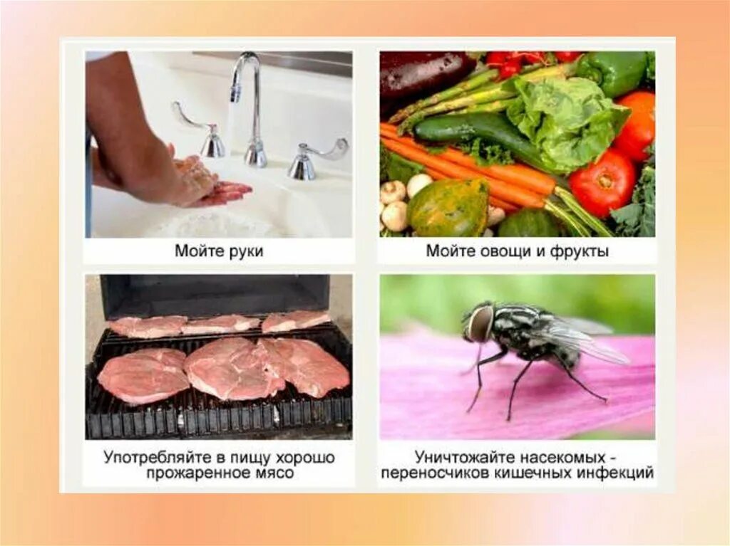 Как предотвратить пищевые отравления