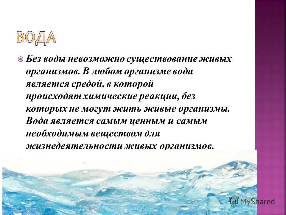 Какая вода испаряется с поверхности океана контрольная. Какая вода испаряется с поверхности океана контрольная