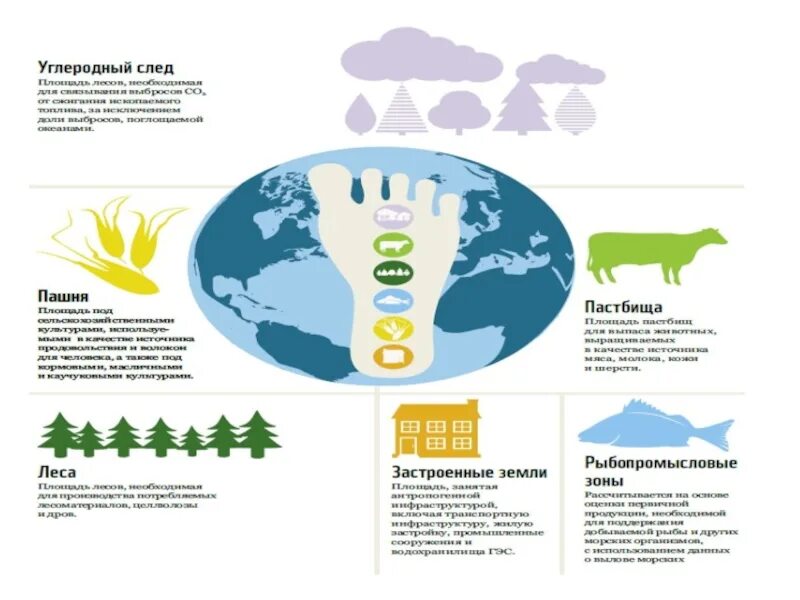 Углеродный след проекта. Экологический след это простыми словами. Презентация на тему экологический след человека. Углеродный след. Экологический след инфографика.
