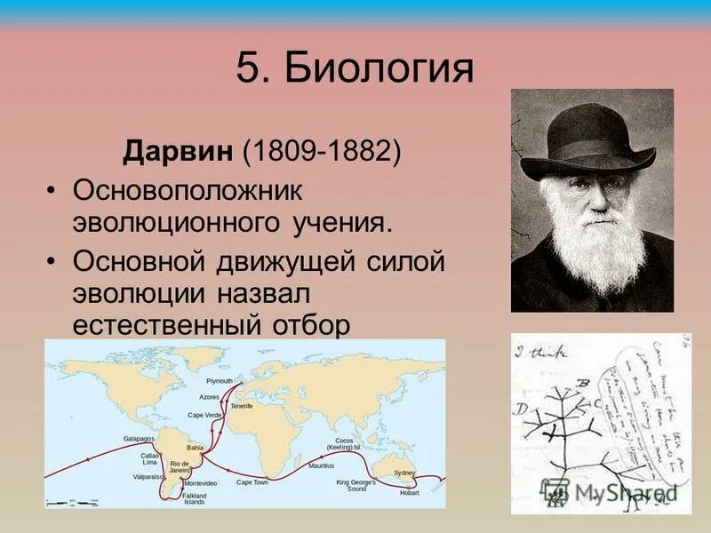 что дарвин назвал естественным отбором