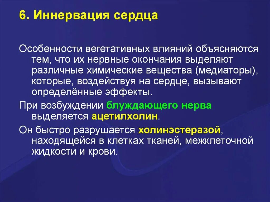 Регуляция блуждающего нерва. Вегетативное влияние. При возбуждении блуждающего нерва. Блуждающий нерв возбуждение. Окончания блуждающего нерва выделяют.