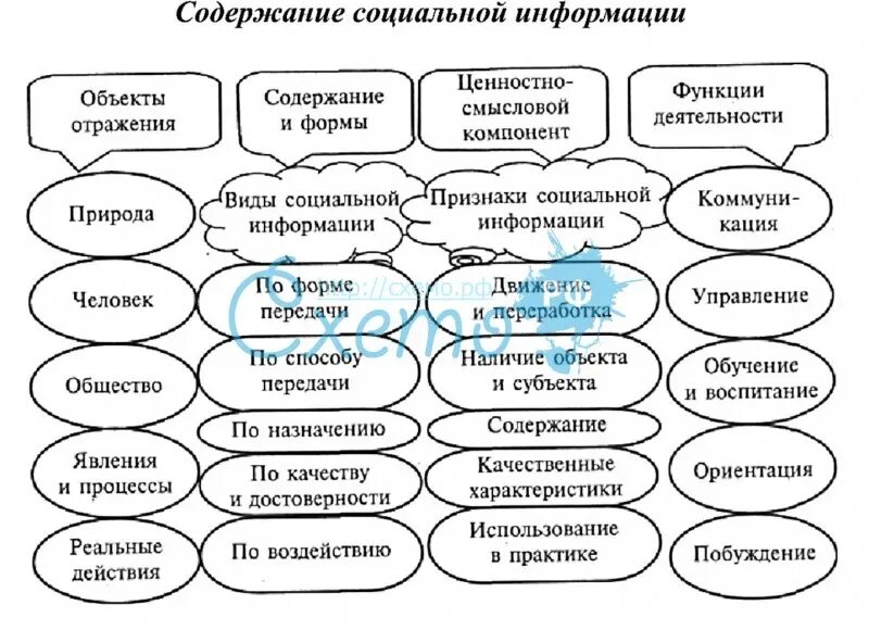 Социальная информация отражает