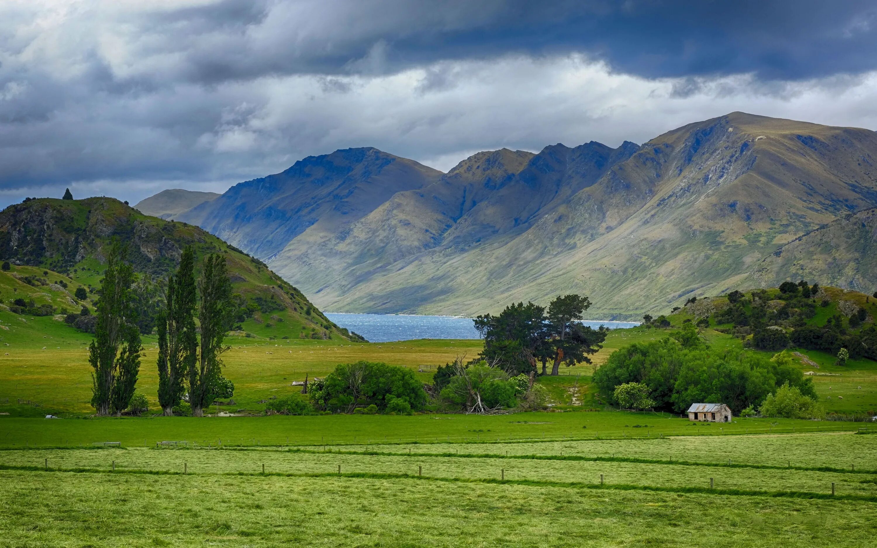 Landscape landscape a go go