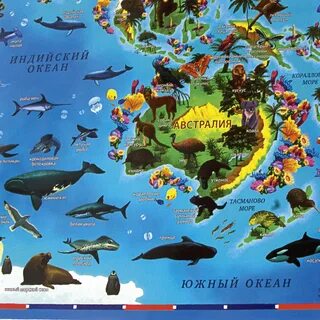 Карта животного мира земли