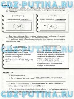 Биология 8 класс драгомилов маш практическая работа