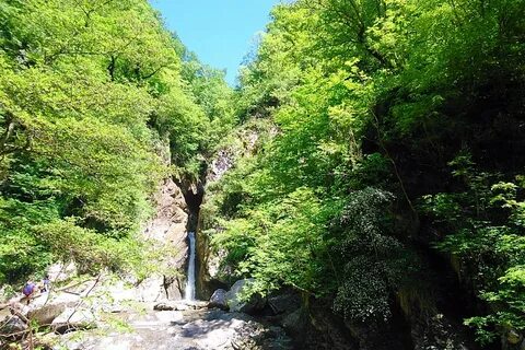Экскурсия в ущелье в сочи