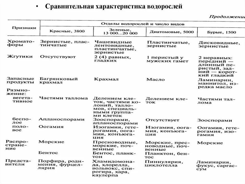 Характеристика классов водорослей