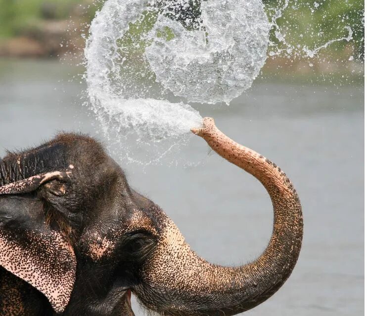 учитесь жить как чайник внутри кипеть. прикольные чайники. жизнь бурлит. жизнь бурлит. пельмени ем ем.