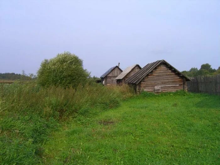 Новгородская область поселок хвойнинское. Деревня Бережок Хвойнинского района. Посёлок горный Хвойнинского района. Деревня Степаново Новгородская область Хвойнинский район. Деревня Бережок Новгородской области.