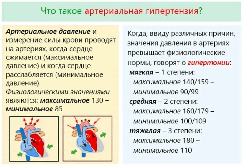 Что означает гипертоник