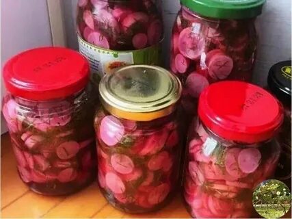 Маринованная редиска на зиму