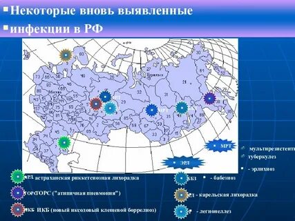 Вновь выявленные
