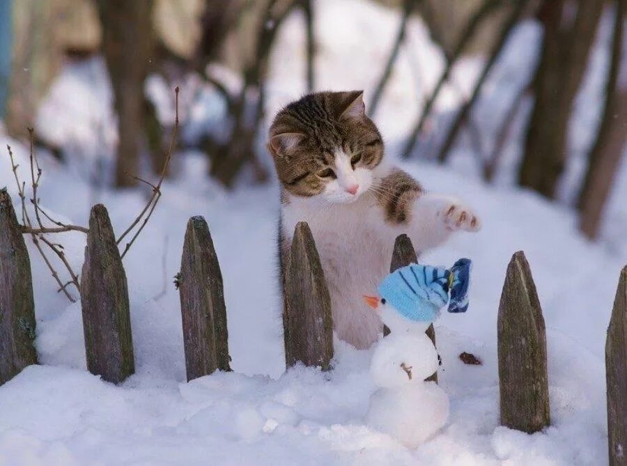 Когда теплеет