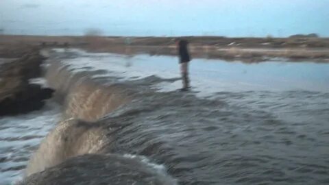 Погода в топчихинском районе на 10 дней