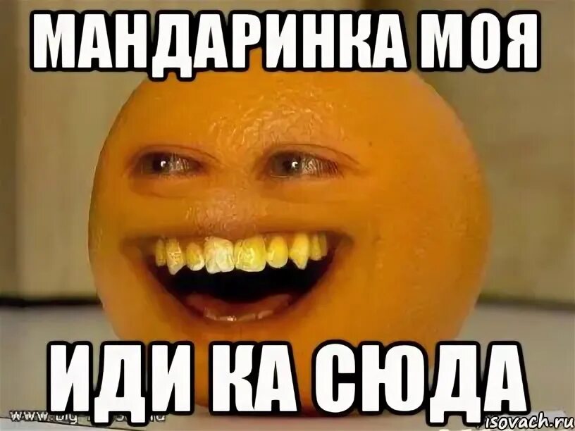 Смешной мандарин. Мандарины горка. Мандаринка мем. Мандаринка мем. Мандаринка мем.