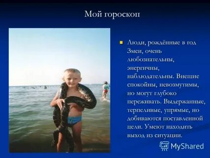 Ребенок родился в год змеи