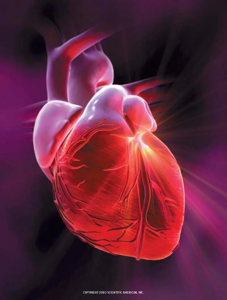Американское сердце. Сердечно-сосудистые заболевания. Марс заболевание сердца. American heart