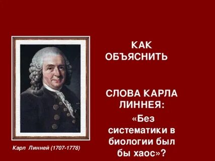 Почему без систематики был бы хаос