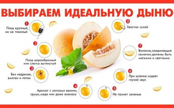 Можно есть дыню при грудном вскармливании. Дыня при грудном вскармливании. дыня при грудном вскармливании в первый месяц. дыня при грудном вскармливании во второй месяц. кушает дыню.