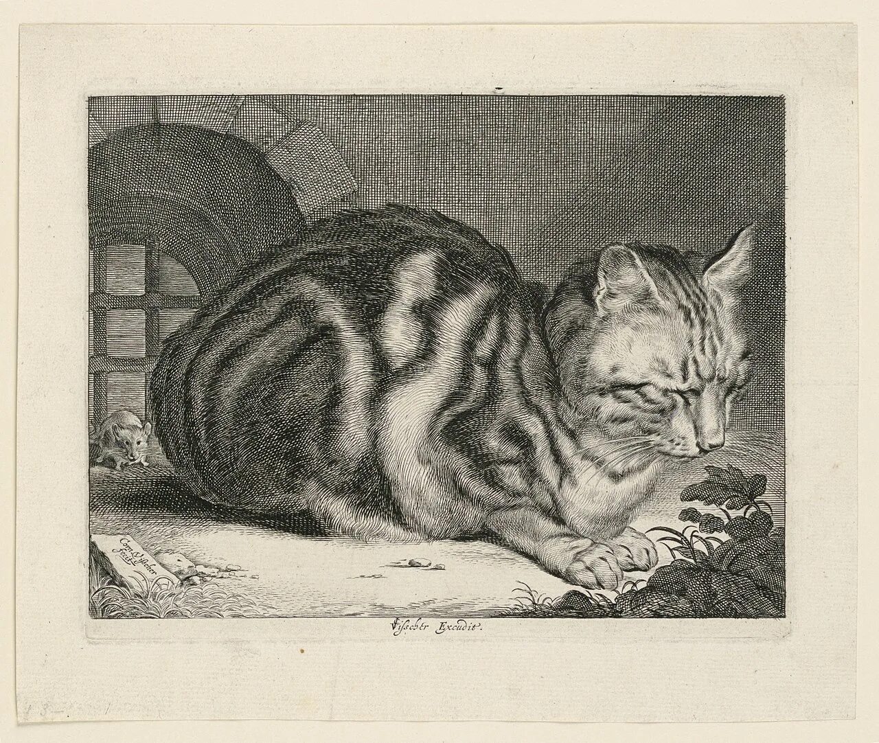 Гравюра котенок. Кот гравюра для детей. Коты гравюра. Офорт кот. Кот гравюра.