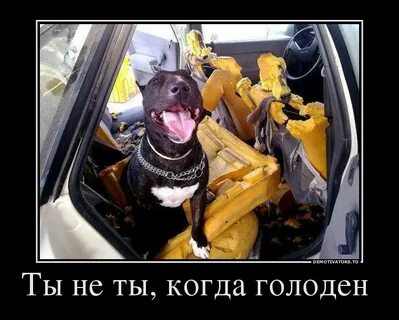 Не буду скучать уходи