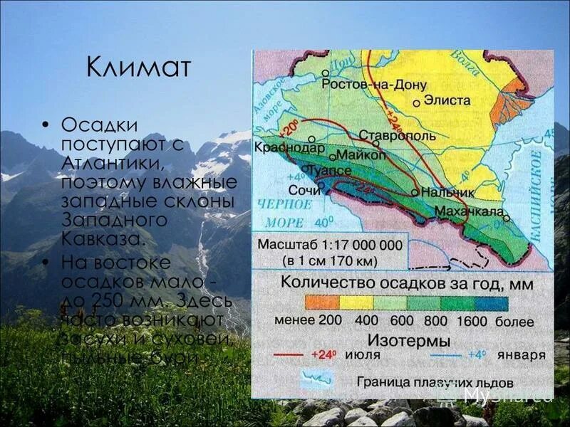 Большой кавказ особенности