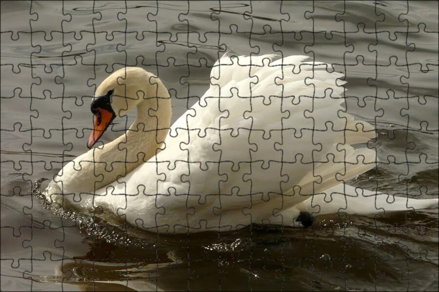 Pin by Meta Aller on Swans Swan, Nature images, Free images