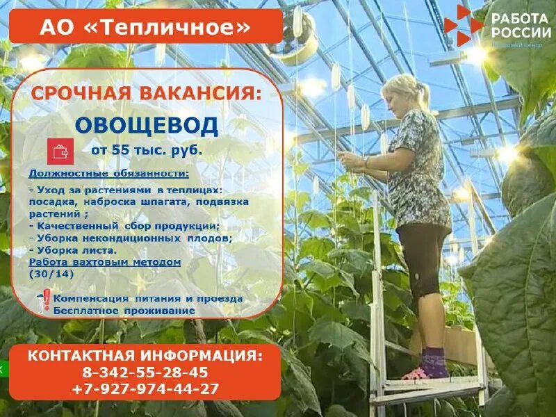Центр занятости населения саранский. Центр занятости населения саранский