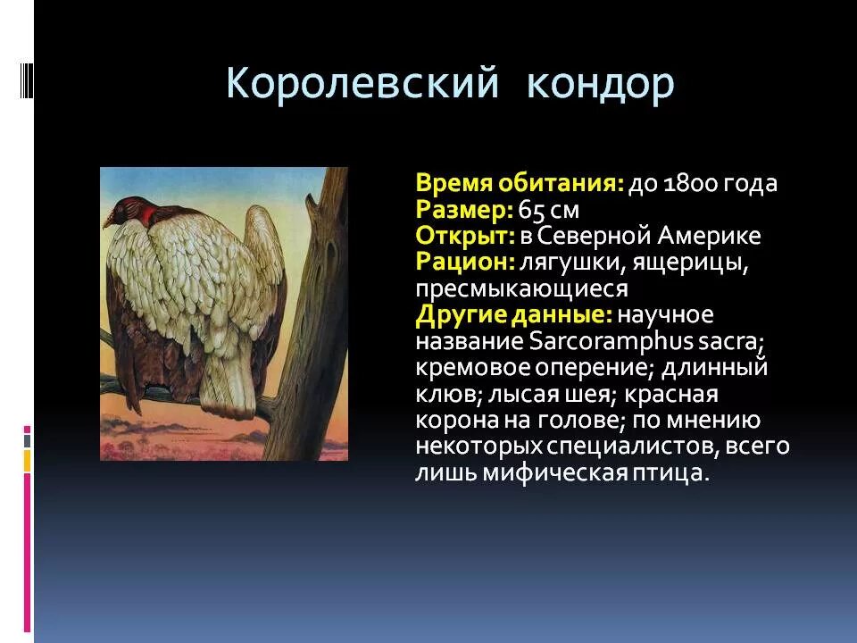 Екатерининский дворец и парк описание. Большой екатерининский дворец архитектор растрелли. Екатерининский дворец в санкт-петербурге окружающий мир 2 класс. Герб великобритании официальный. Большой екатерининский дворец в царском селе кратко.