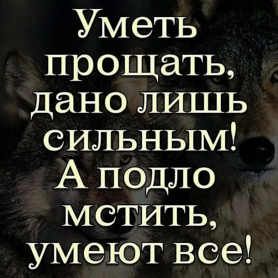 Уметь прощать. Умейте прощать цитаты. Надо уметь прощать цитаты. Уметь прощать дано лишь сильным а подло мстить. Уметь прощать песни