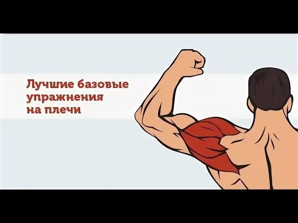 Силовые упражнения для плеч. День плеч упражнения. Упражнения на плечи с гантелям. Упражнения на плечи. Разводка гантелей в стороны на плечи.