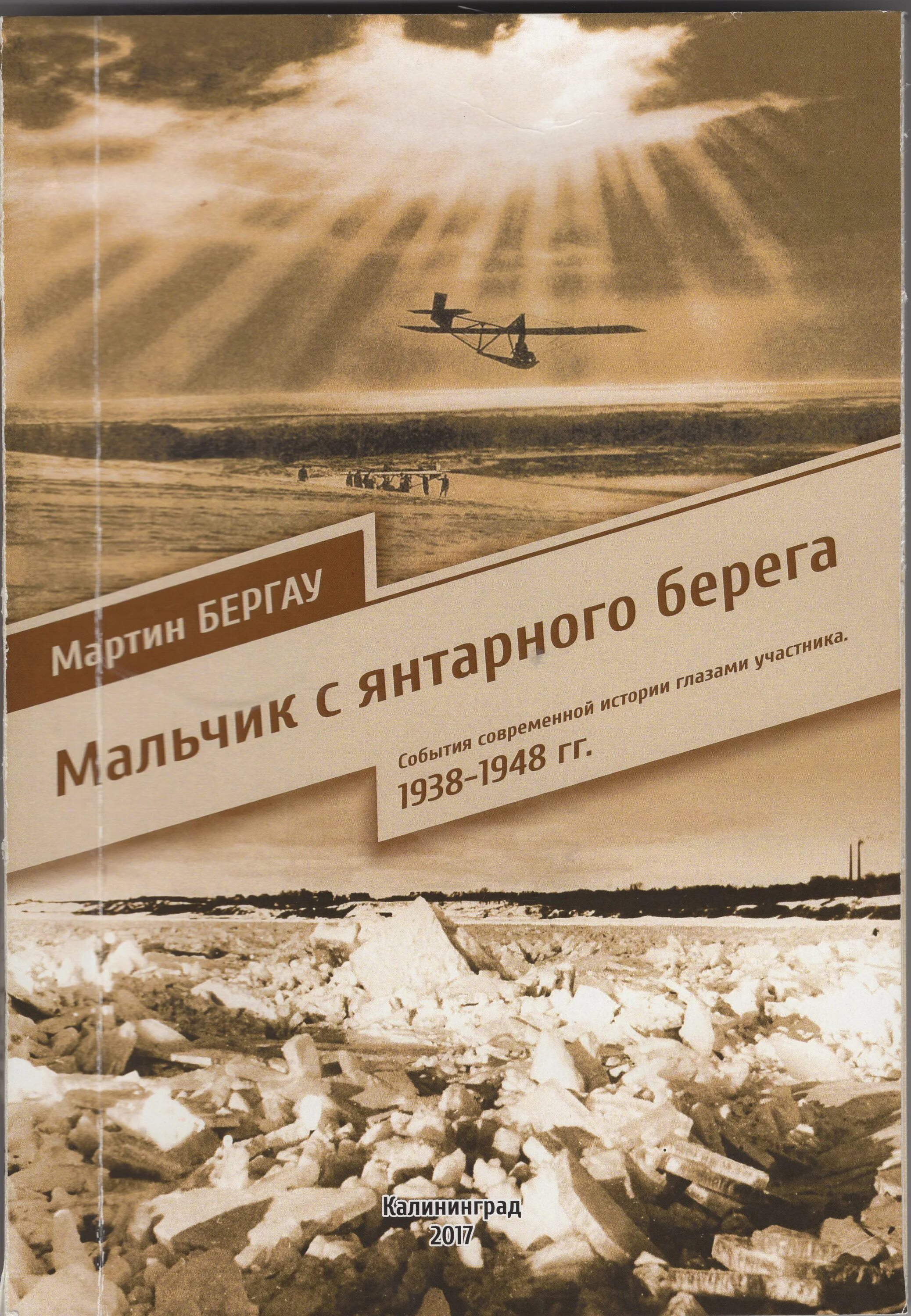 Читать берега жизни. Мальчик с янтарного берега. Парень с янтарного берега книга.