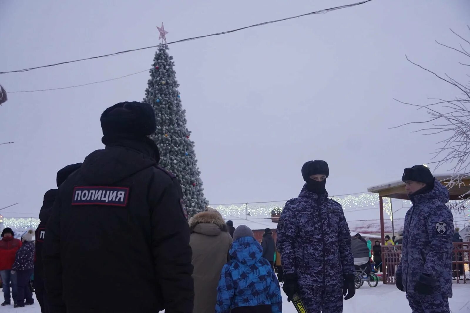 Охране ели. Охране ели