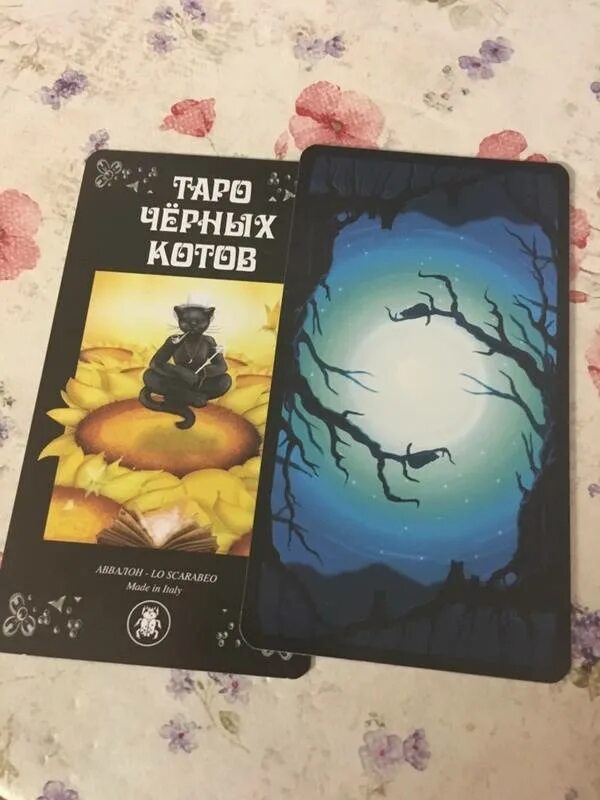 Таро коты значение. Таро коты значение