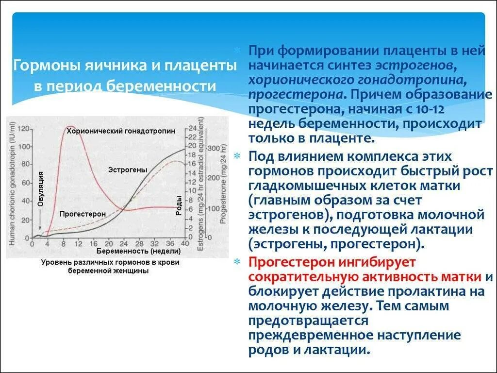 Пролактин и цикл. График изменений гормонов в беременность. гормональный цикл женщины при беременности. изменение гормонов при беременности. уровень эстрогена в период беременности.