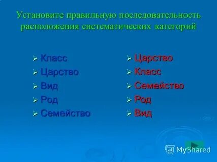 Систематическая помощь 7