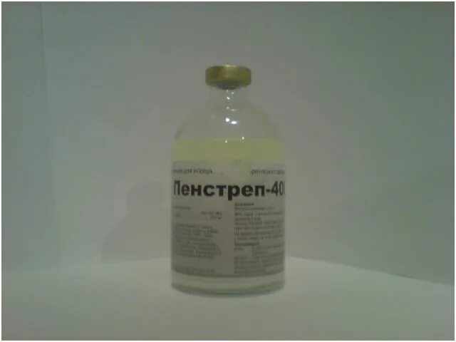 Антибиотик пенстреп. Пенстреп ветеринарный препарат. Пенстреп 400. Пенстреп КРС. Биомультивит