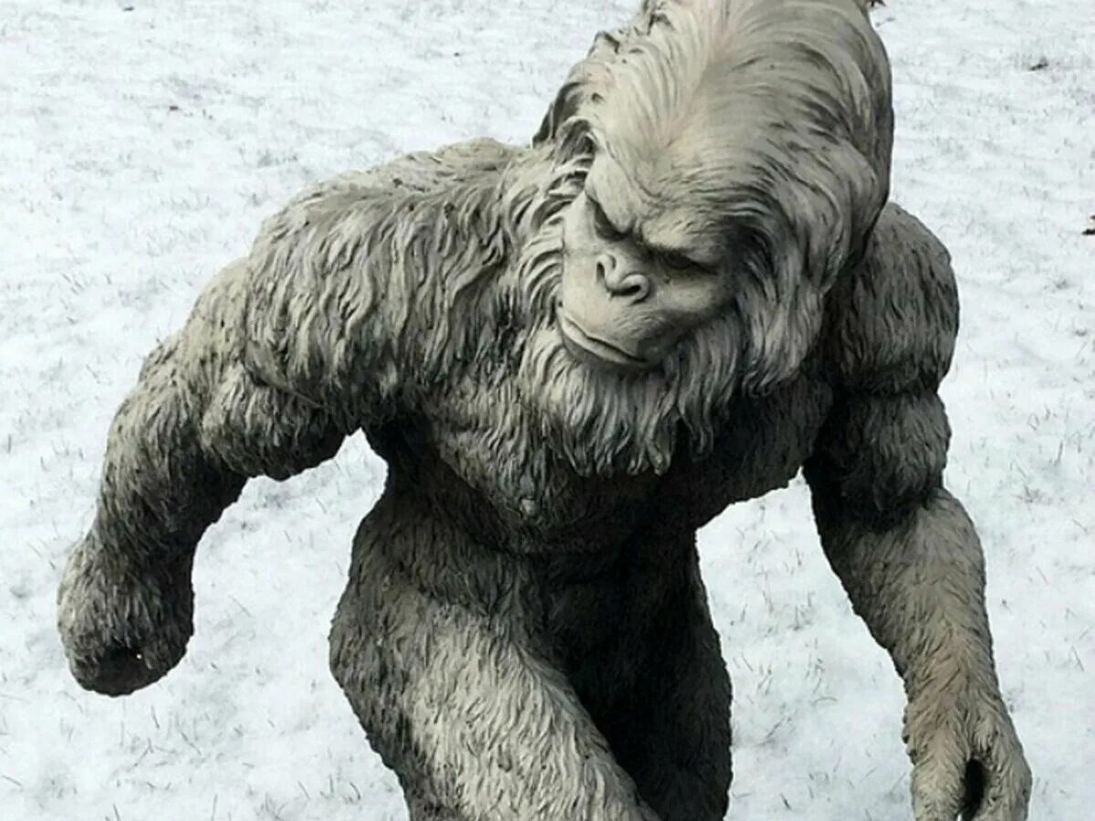 как зовут снежного человека. йети в гималаях. бигфут йети. менк ети. как зовут снежного человека.